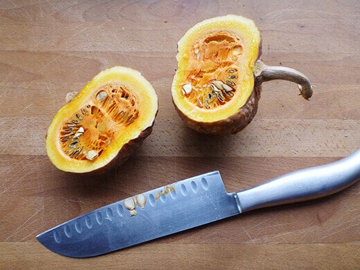 Mature Black Futsu Japanese winter squash
