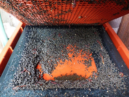 The catch-all tray in the Worm Factory 360