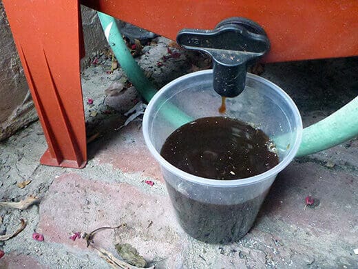 Drain the leachate with the spigot on the vermicomposting bin