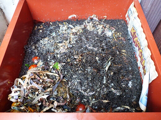 A healthy compost pile filled with worm castings and other organic matter