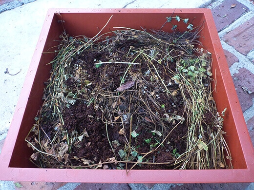 Add a middle layer of coir, pumice, and dried matter