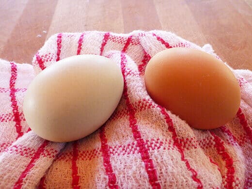Super fresh backyard eggs