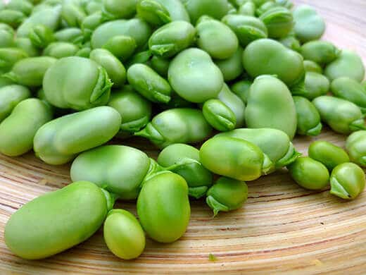 Fava beans