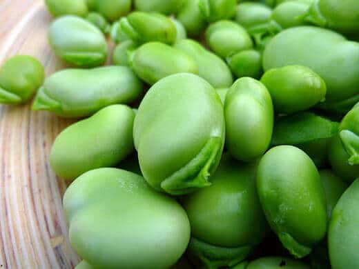 Shelled broad beans