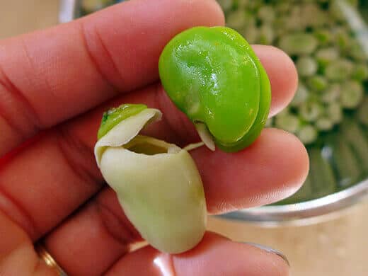 A shucked broad bean