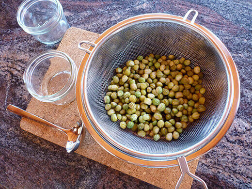 Strain the seeds and rinse to remove excess salt