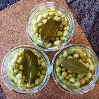 Pickled nasturtium seed pods