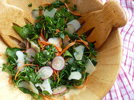 Pea shoot salad with radish and carrot