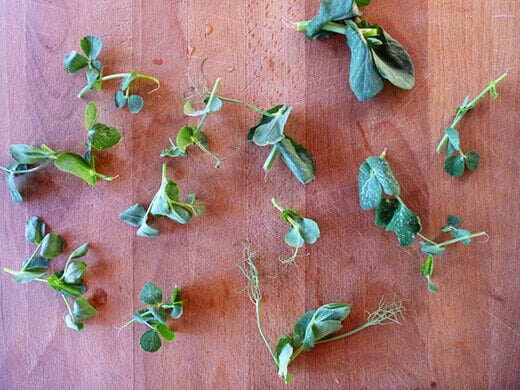 Fresh pea shoots