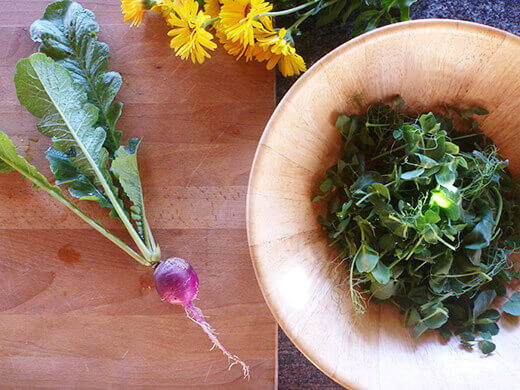 Use a radish with leaves if available