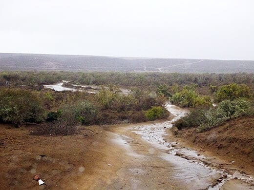The road out