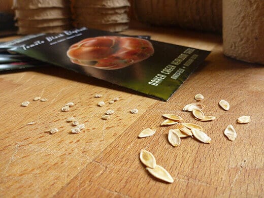 New seeds