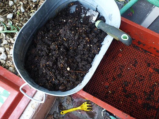 Worm compost