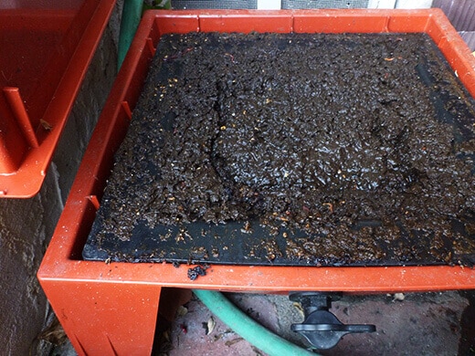 Check the catch-all tray for castings and leachate