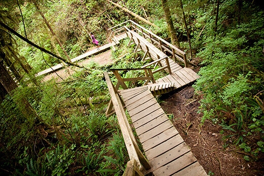Schooner Beach Trail through the rainforest.