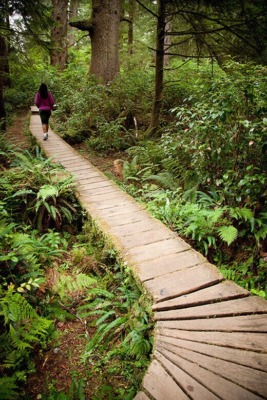 Schooner Beach Trail.