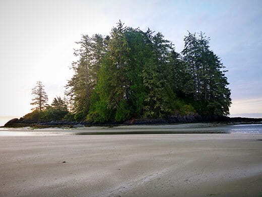 A deserted stretch of Long Beach.