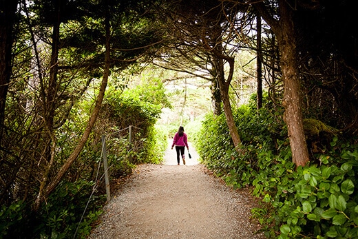 Wild Pacific Trail in Ucluelet.