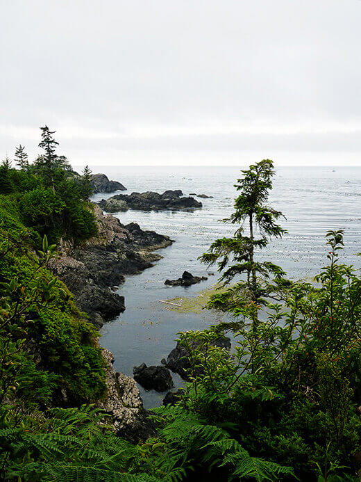 Rugged ocean coastline in Ucluelet.