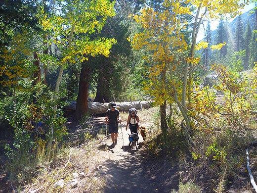 Beginning the hike to Ediza Lake