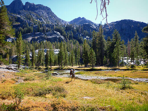 Beautiful meadow turning colors