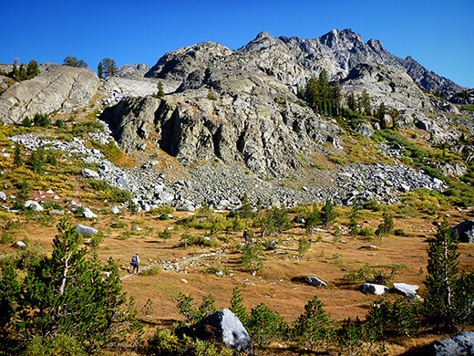 High mountain meadow