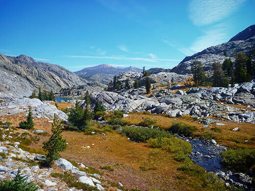 High mountain meadow at the base of the Minarets