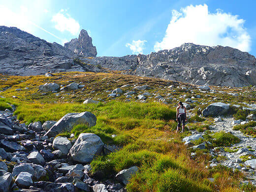 Grassy meadow at the foot of the Minarets