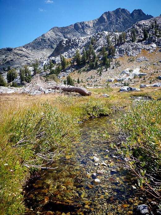 A creek flowing below the Minarets