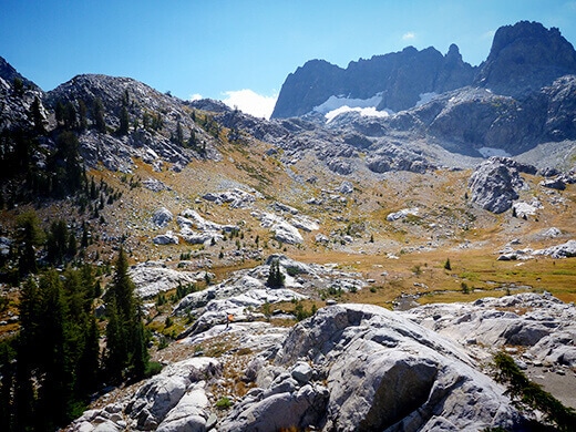 High mountain meadow with a view of the Minarets