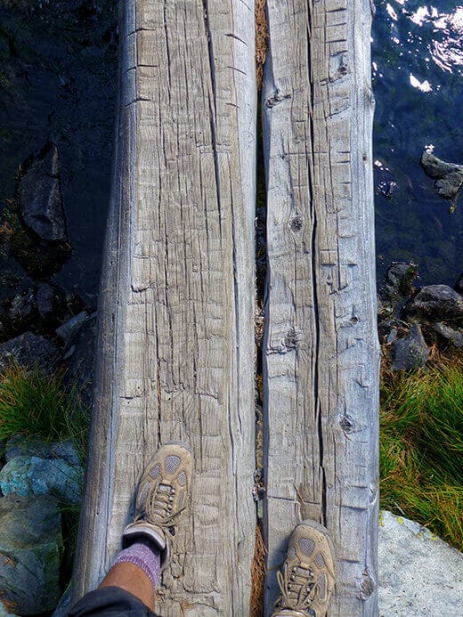 Log crossing at Shadow Creek