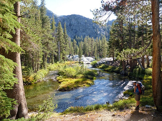 Summer in the backcountry