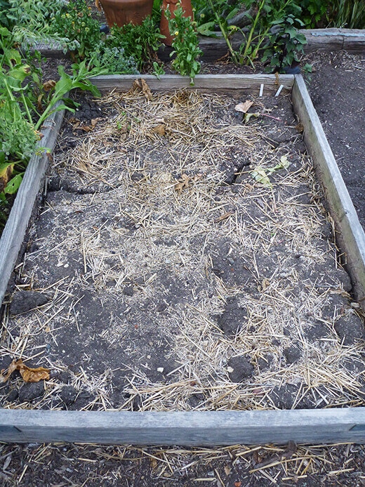 Dry clay soil at the end of a season