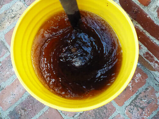 Activating the microbes in compost tea