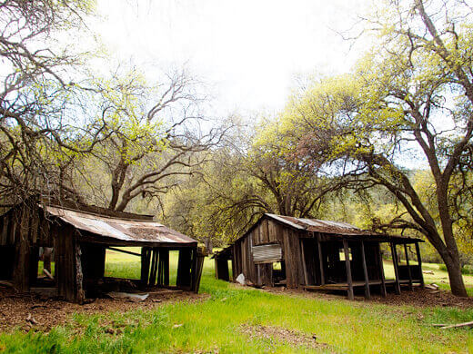 Rundown cabins