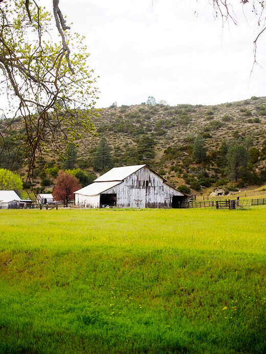 Rustic barn