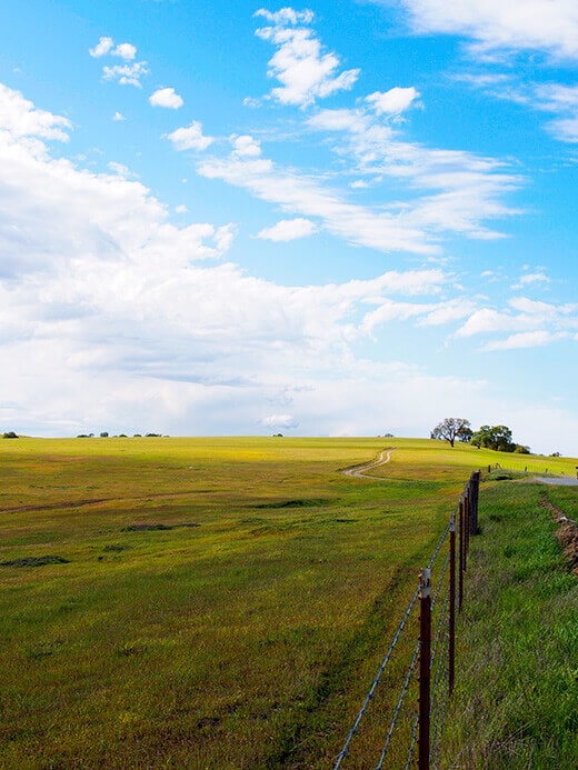 Endless field