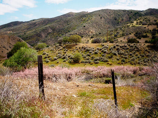 The side of the road