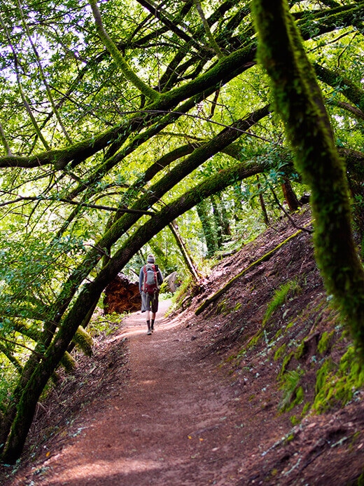 Hiking on the Matt Davis to Steep Ravine loop