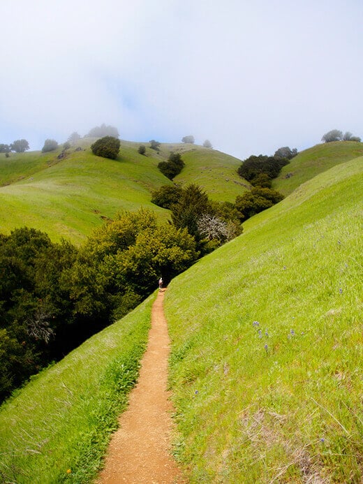 Matt Davis Trail