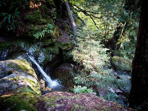 Waterfall