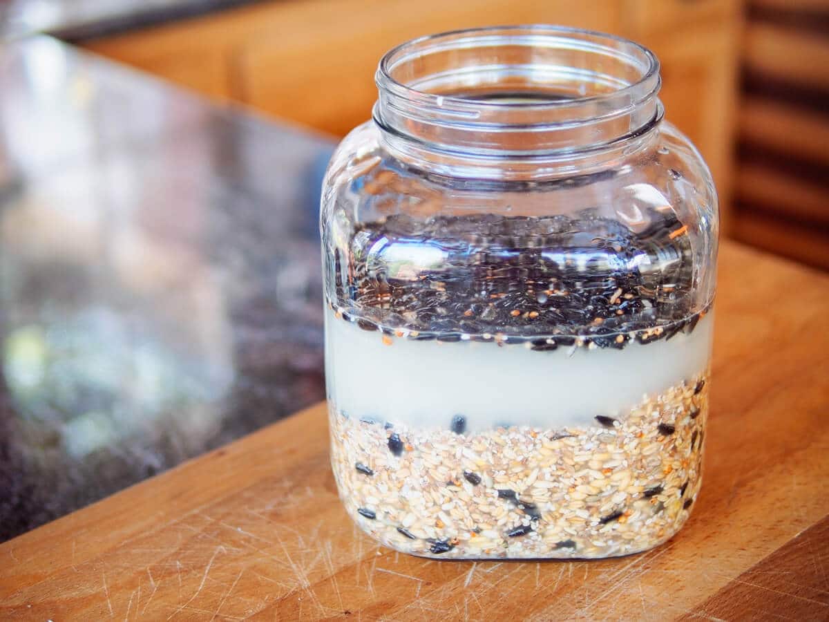 Lacto-fermentation in action