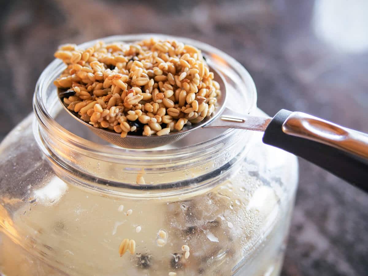 Strain the fermented grains after three to four days