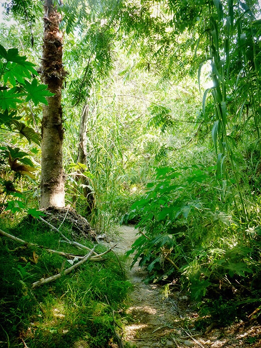 Egret Park