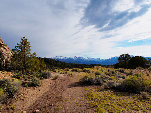 The trail to Travertine Hot Springs