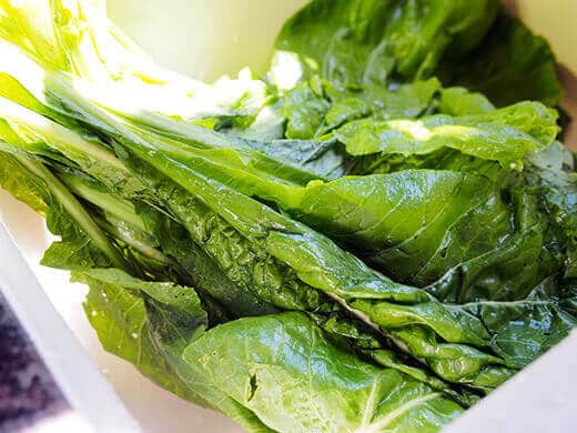 Komatsuna mustard greens