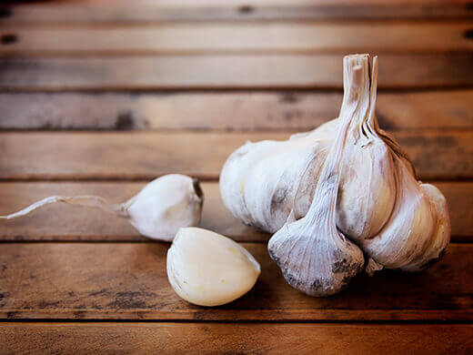 A mammoth Inchelium Red garlic bulb