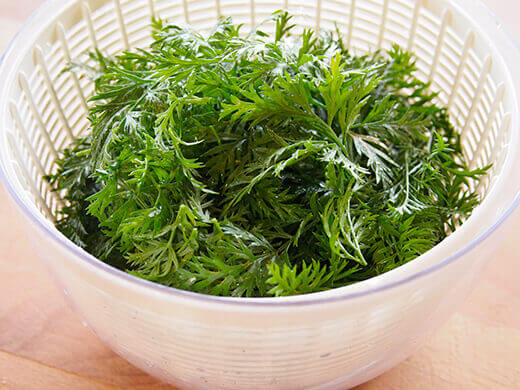 Fresh carrot greens
