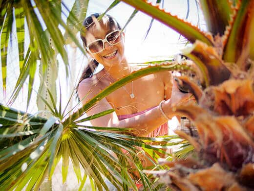 Trimming palm fronds