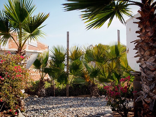 Fence decorated with palm fronds